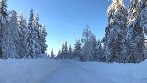 Rallye de Suecia en condiciones perfectas