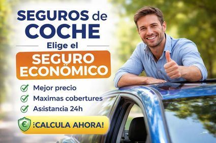 Diversas opciones de seguros de coche en una tabla comparativa de precios y coberturas económicas.