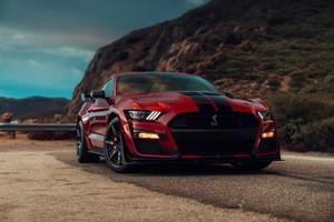 Nuevo Shelby GT500