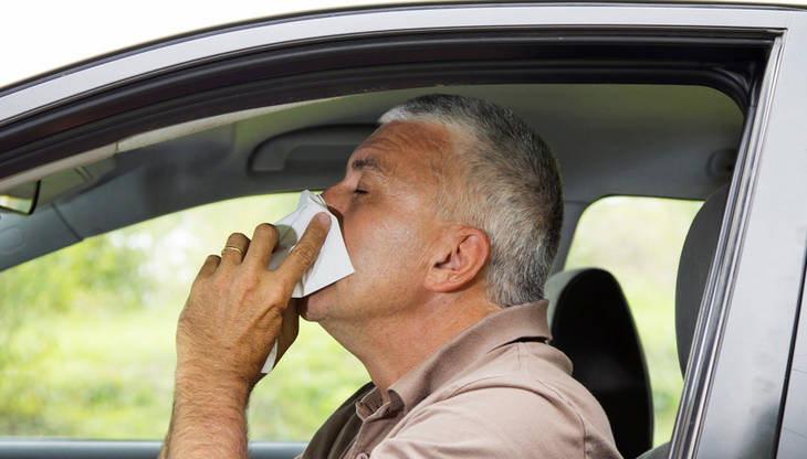 Cuatro trucos para evitar la alergia en el coche