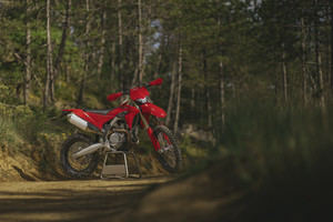 Nueva Ducati Desmo450 EDS: así es la primera moto de enduro moderna de la marca italiana