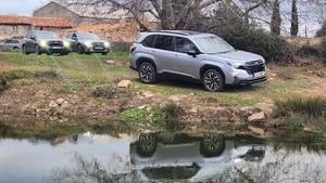 Probamos el Subaru Forester 2025: Un SUV compacto ideal para familias y aventureros