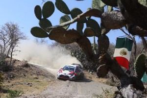 Kris Meeke domina en el Shakedown con su Toyota