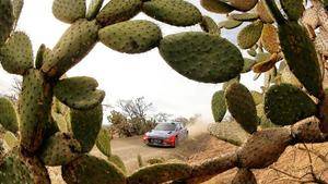 Thierry Neuville el más rápido en el Shakedown