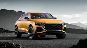 Audi Q8 concept, el SUV Coupe de la firma alemana