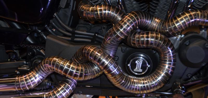 Metal SNAKE Ganadora